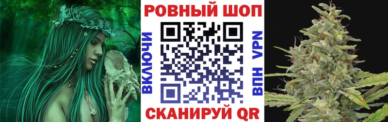 МЕФ Мценск