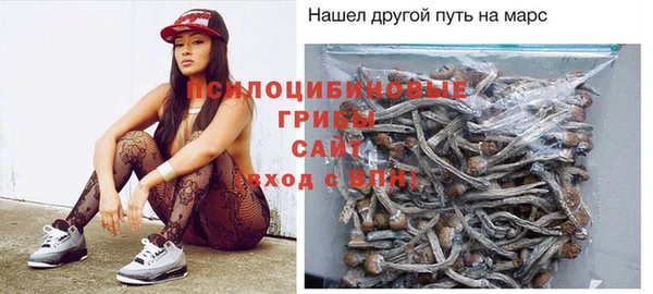 гидра Волосово