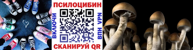 Купить закладки  Мценск  Галлюциногенные грибы мицелий 